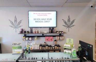 Green Medicine Shop