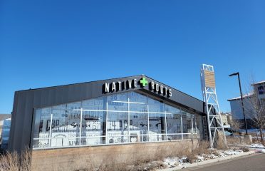 Native Roots Dispensary Tower – Airport