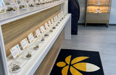 Lume Cannabis Dispensary Portage, MI