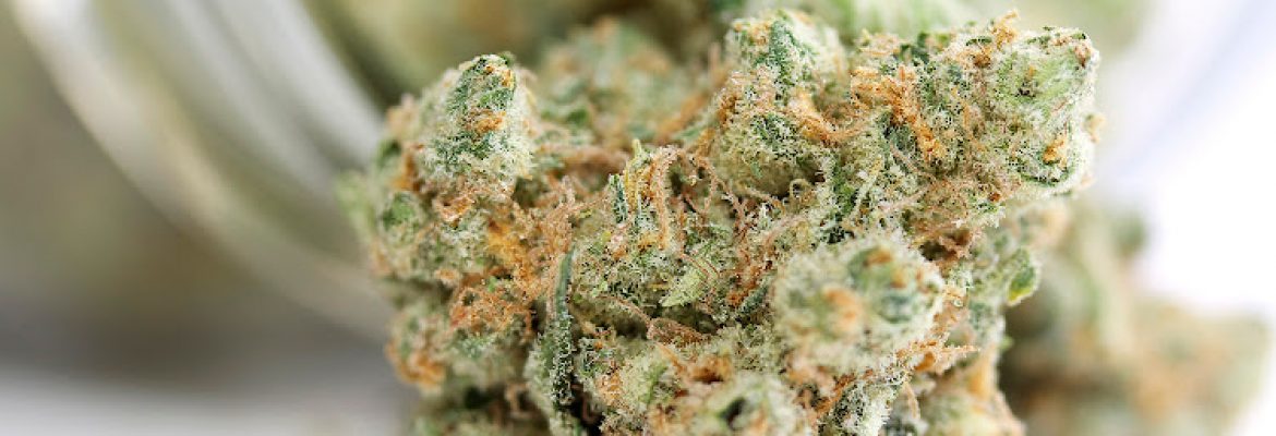 Luxury Leaf Marijuana Dispensary