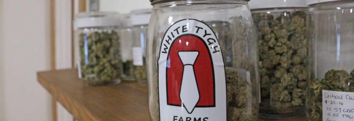 White Tygh Farms