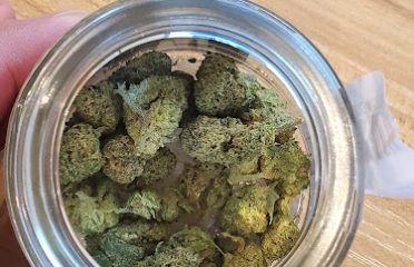 HAVEN Cannabis Marijuana and Weed Dispensary – Los Alamitos
