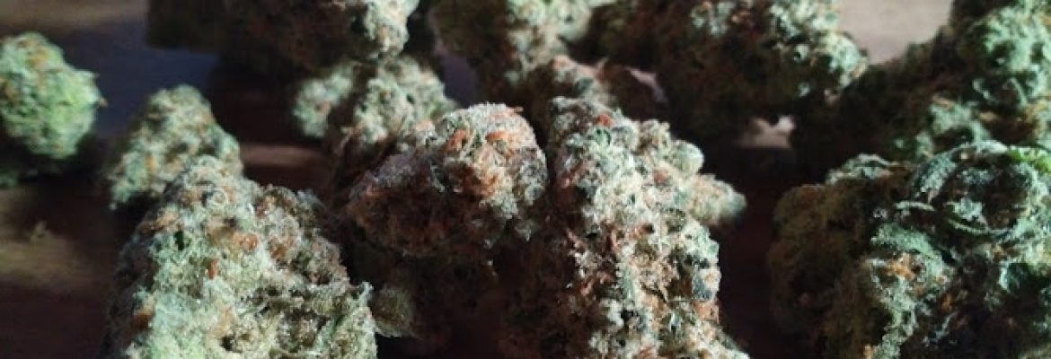 New Standard Dispensary – Whitehall