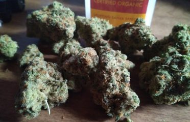 New Standard Dispensary – Whitehall