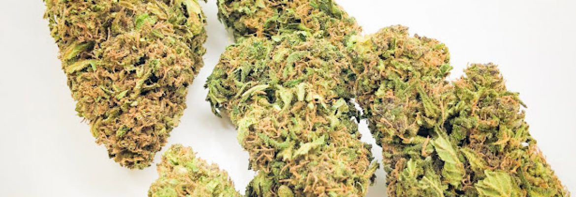 HempWholesaler.com