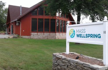 Mass Wellspring