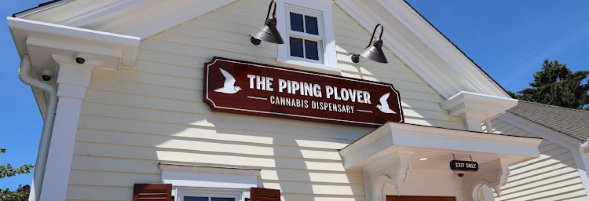 The Piping Plover Cannabis Dispensary