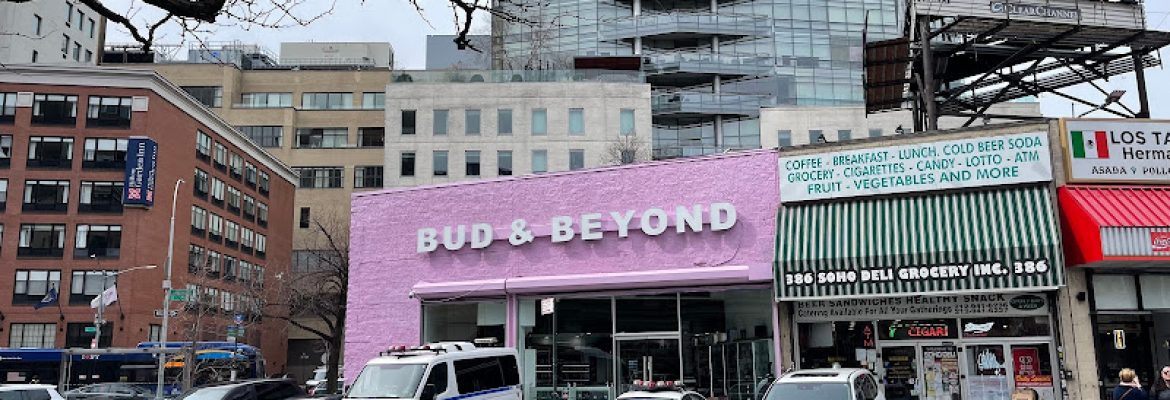 Bud and Beyond