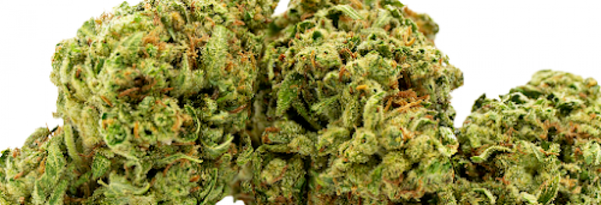 The Clinik LA – Marijuana Dispensary