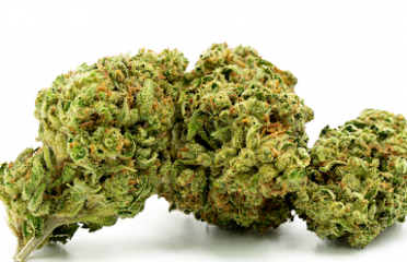 The Clinik LA – Marijuana Dispensary