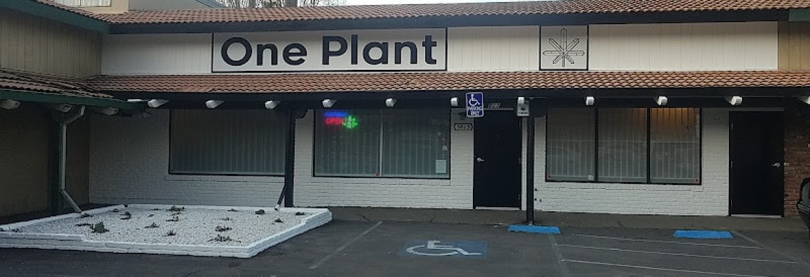 One Plant – El Sobrante