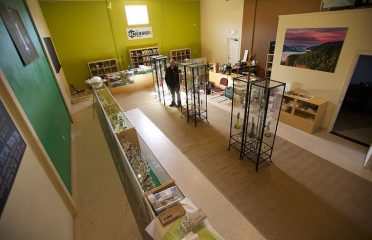 High 5 Cannabis (420 Evergreen)