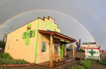 Primo Cannabis