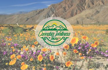 Cannabis Wellness Tours