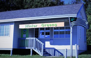 Winter Greens