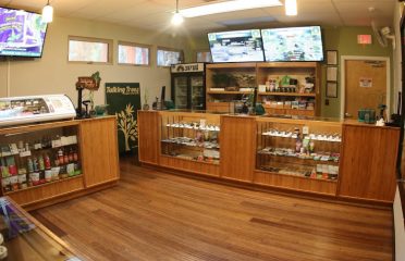 Satori Wellness