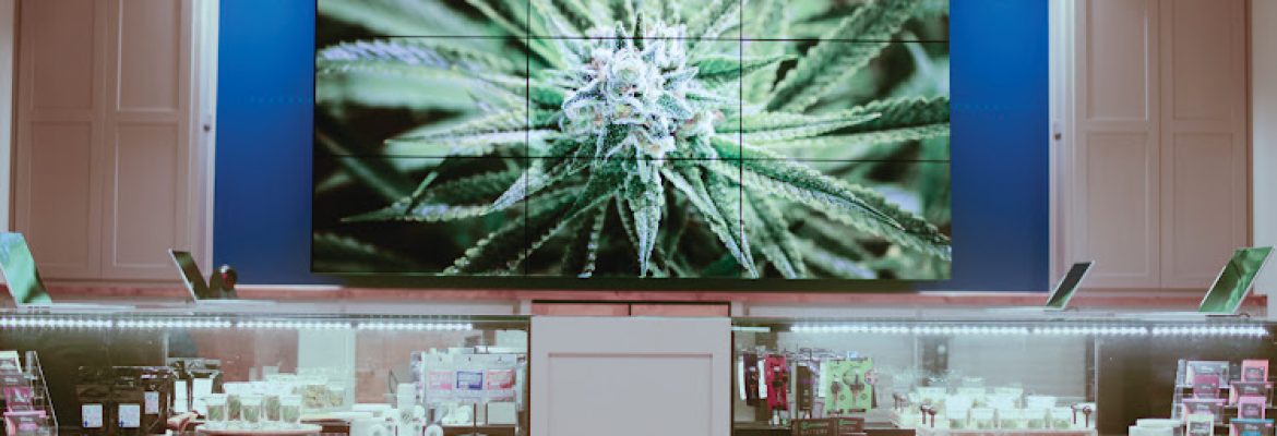 Verdes Cannabis – Rio Rancho