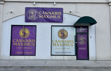 Cannabis Maximus