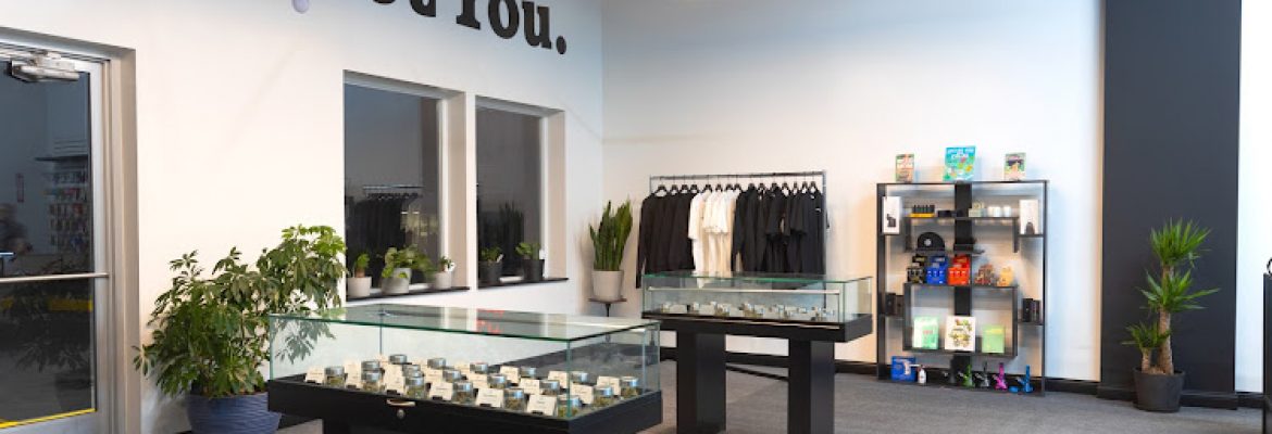 New Standard Dispensary – Edmore