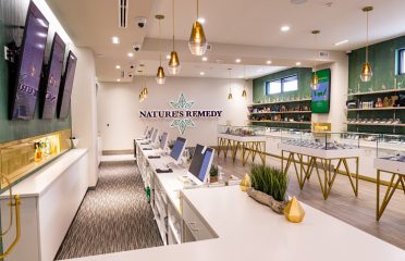 Nature’s Remedy – Ferndale’s Hidden GEM
