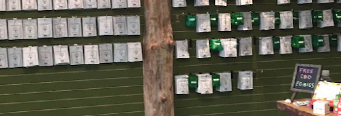 WSC Natural Healing