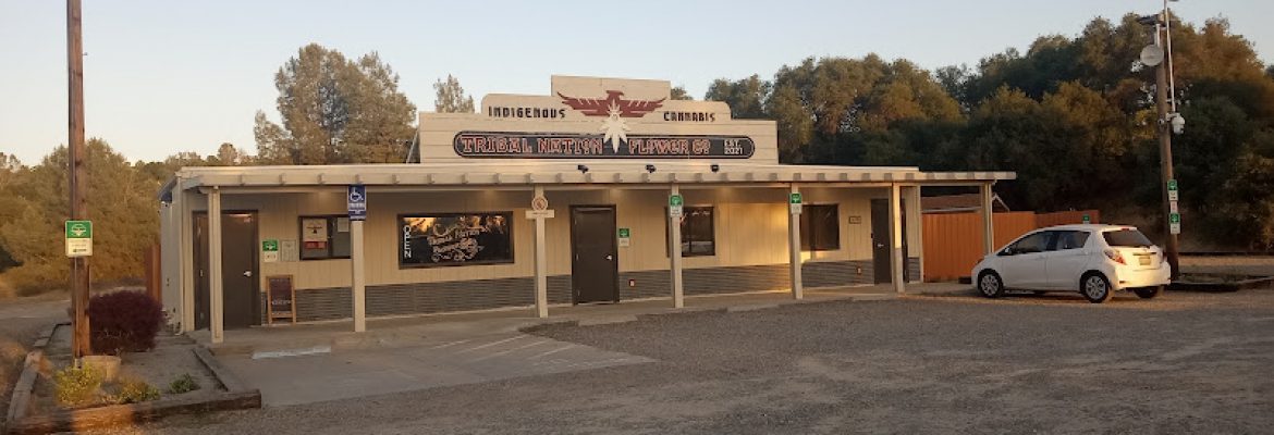 Tribal Nation Flower Company