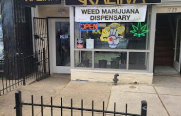 Kaliiva Weed Marijuana Dispensary