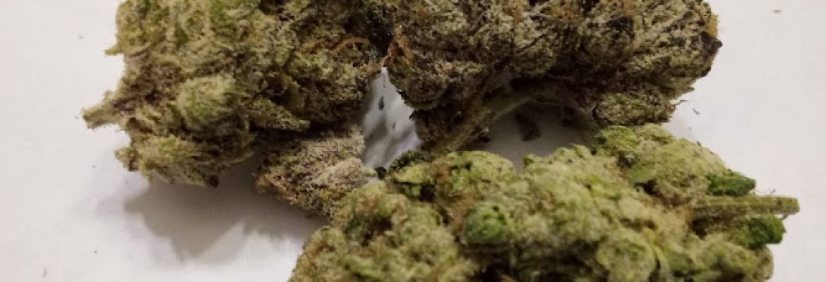 Judiijane DC Dispensary – Premium Weed Delivery