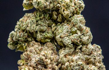 Granny Za’s Weed Marijuana Dispensary