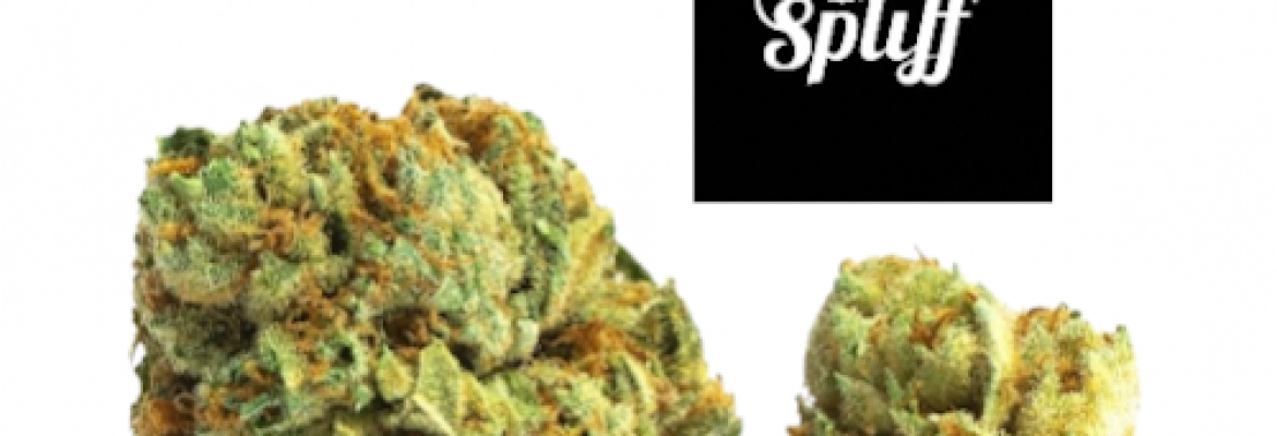 Spliff Nation Dispensary