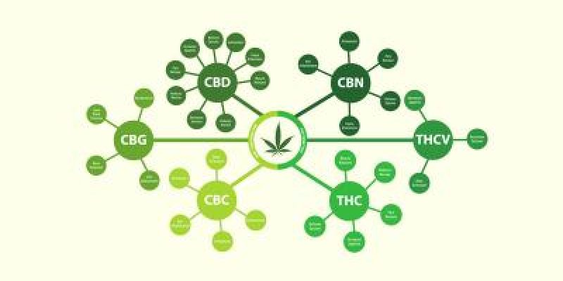 Silver Stem Fine Cannabis Bonnie Brae Marijuana Dispensary